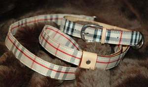 Bettedeals Designer Pet Clothes — Gucci Dog Collar and Leash Set